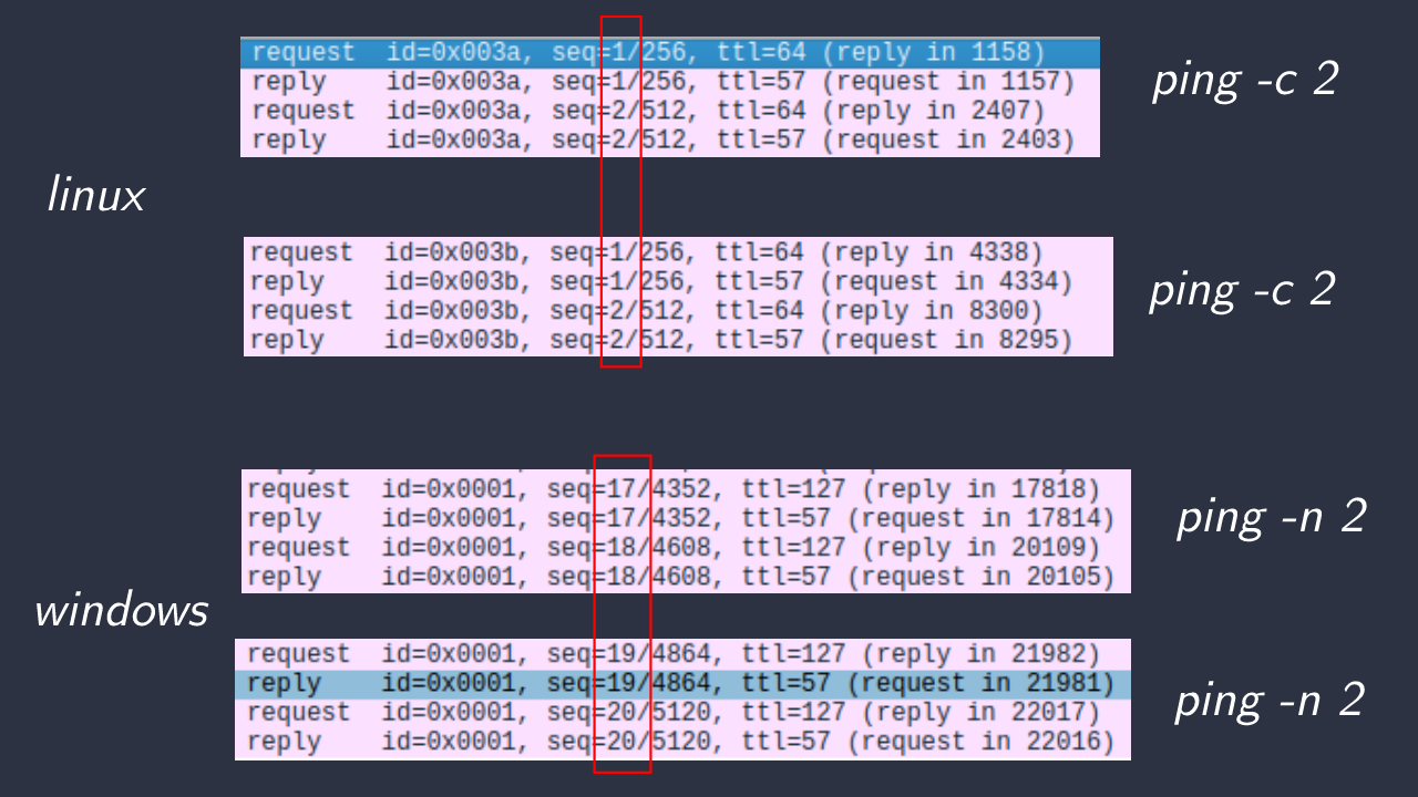 different ping behaviour on linux and windows